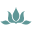 Natural Acne Clinic Icon