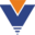 VAIS Technology Icon