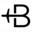 BrightTrip Icon