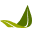 Magnesium Breakthrough Icon
