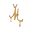 MARIE JUNE Jewelry Icon