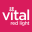 Vital Red Light Icon