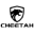 Cheetah Watch & Collection Icon
