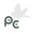 Po Campo Icon