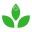 Greenly Media Icon