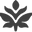 Maple Organics Icon