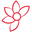 Saffron Alley Icon