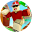 GYPSY Icon