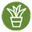 Growing Smiles Jungle Icon