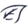Mint Sportswear Icon