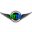 Fly Tri Racing Icon
