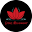 Lotus Movement Icon