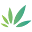 Daily Rx CBD Icon