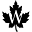 WoodWatch Icon