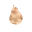 Petit Anjou Icon