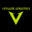 Vitalize Athletics Icon