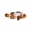 Saltwater Fish Shop Icon