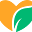 VidaSlim Icon