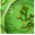 Ingredients Icon