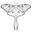 Enchanted Moth Creations Icon