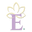 E Silver Icon