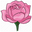 Blake Rose Glow Icon