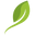 Akóva Tea Icon