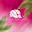 4 Bella Naturale Hair Care Icon