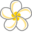 Bali Secrets Icon