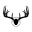 Visionner Icon
