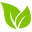 ZestiGreens Icon