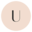 Understance Icon