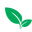 Value Herbals Icon