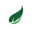 Plantfolio Icon
