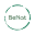 BeNat Icon