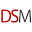 DS Music Store Icon