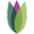 Epic Nutra Icon