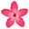 Modern Blush Icon