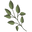 Mama Merrill's Herbal Formulas Icon