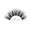 Leida Lash Icon