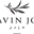 Lavin Joy Co. Icon