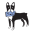 Dogwood Hill Icon