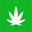 Marijuana Doctor Icon