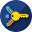 Career Key Icon
