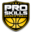 Pro Skills Basketball Icon