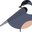 Wayward Chickadee Icon