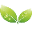 Naturaful Icon