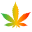 Coffee Shop Seeds Icon