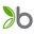 bambu USA Icon