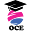 Online Course Experts Icon